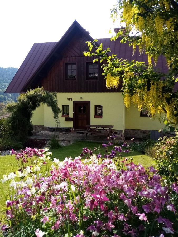 Apartments Vecernik Rokytnice Rokytnice nad Jizerou Exterior foto