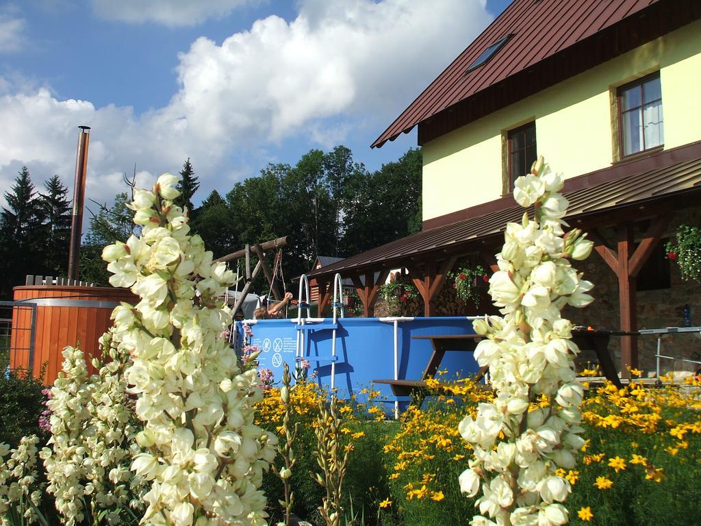 Apartments Vecernik Rokytnice Rokytnice nad Jizerou Exterior foto