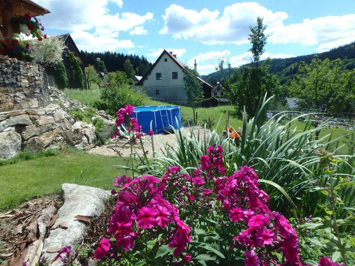 Apartments Vecernik Rokytnice Rokytnice nad Jizerou Exterior foto